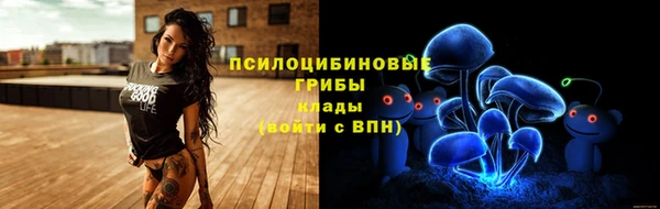 ешки Новодвинск