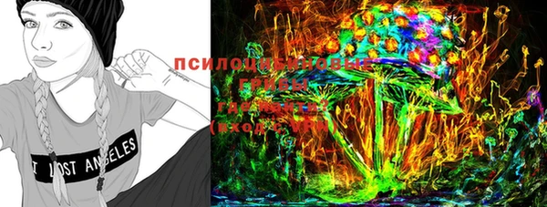 марки lsd Заводоуковск
