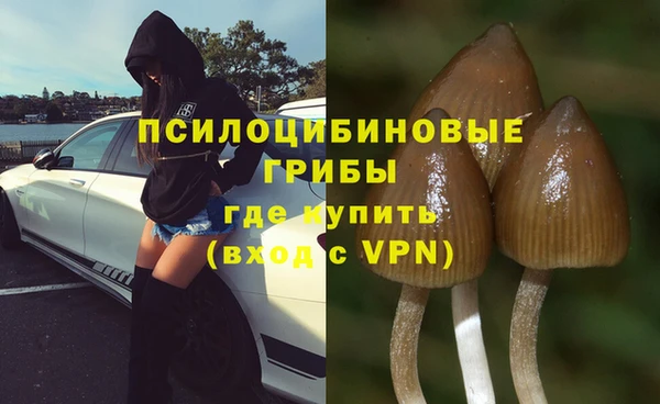 мдпв Заволжье