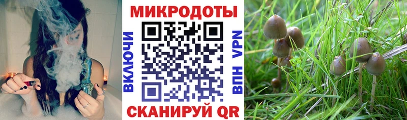 Галлюциногенные грибы Magic Shrooms сайты даркнета наркотические препараты Протвино